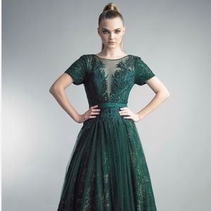 BASIX BLACK LABEL Designer hunter green evening gown, dress. Beaded Appliqsize 6